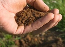 Fertilizantes y Sustratos Fertilizantes y Sustratos