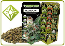 Semillas de Marihuana Semillas de Marihuana