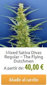 cannabis-sativa