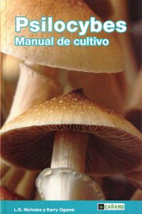 psylocibes cubensis kit de setas