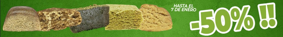 Hash CBD