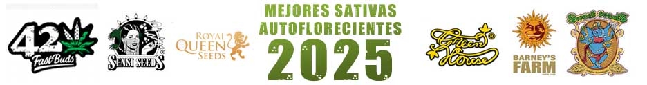 MEJORES SATIVAS 2025