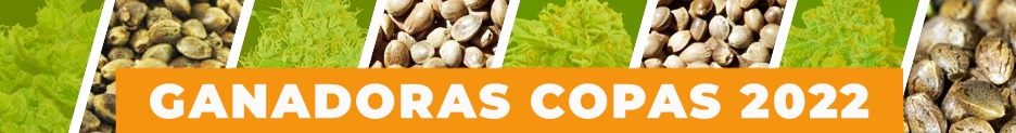 Ganadoras Copas 2022