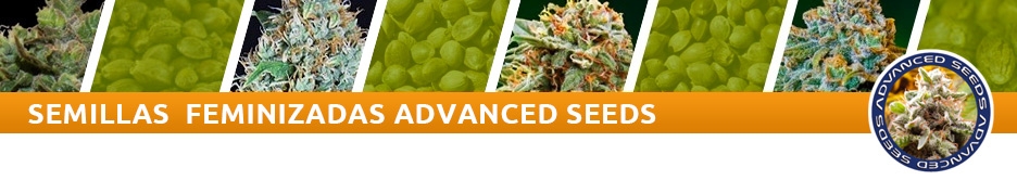 Advanced Seeds