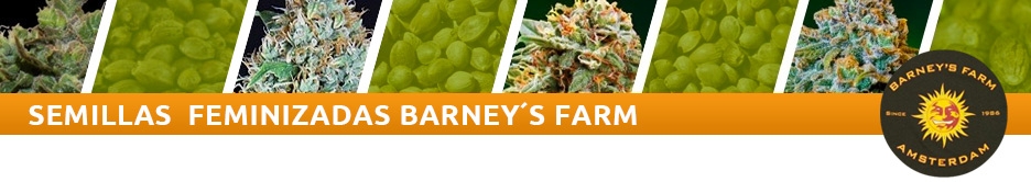 Barney´s Farm