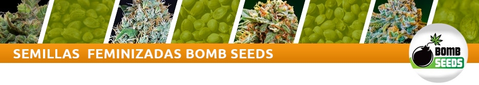 Bomb Seeds