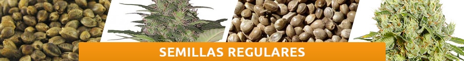 Semillas Regulares