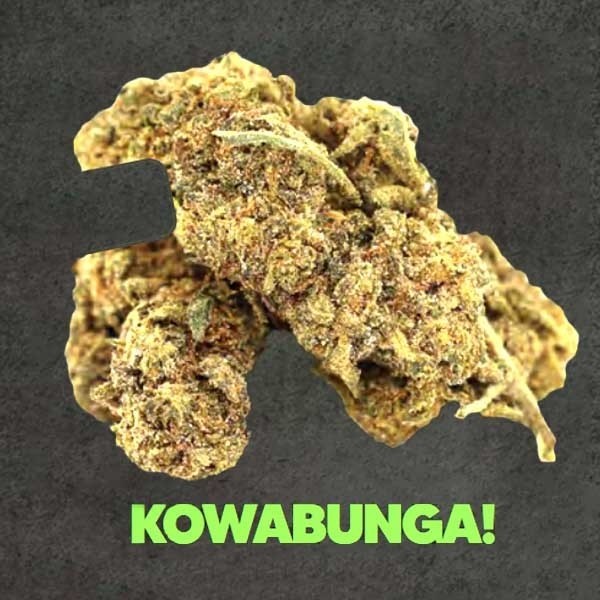 Hemp Flower Kowabunga 1g – 50% Magic Sauce
