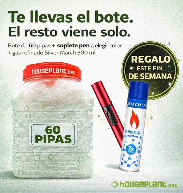BOTE 60 PIPAS 10CM