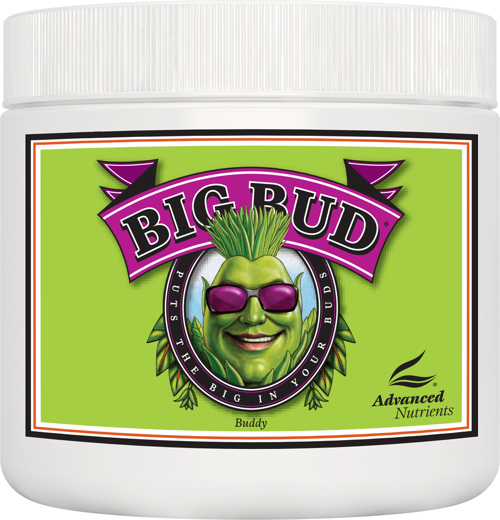 Big Bud Powder - Advanced Nutrients
