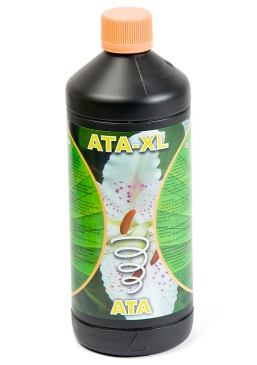 Ata XL (ATA)