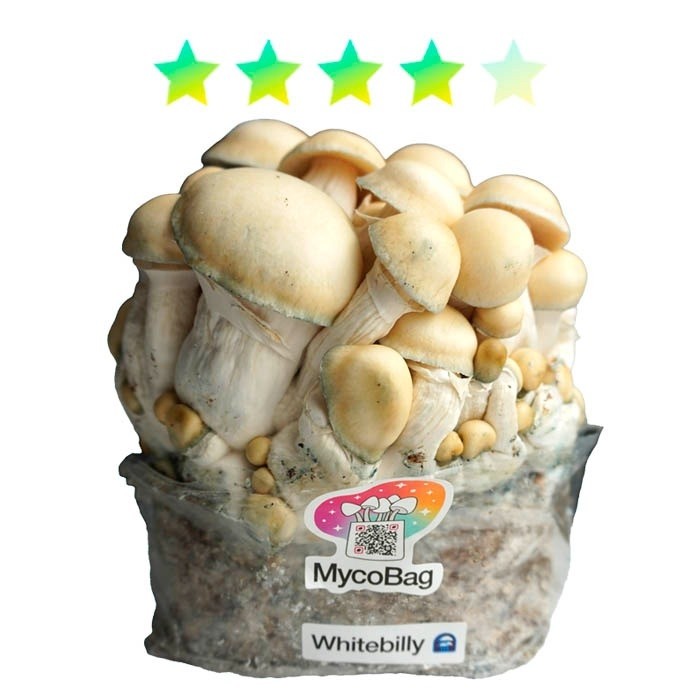 Whitebilly – Mini Myco Bag