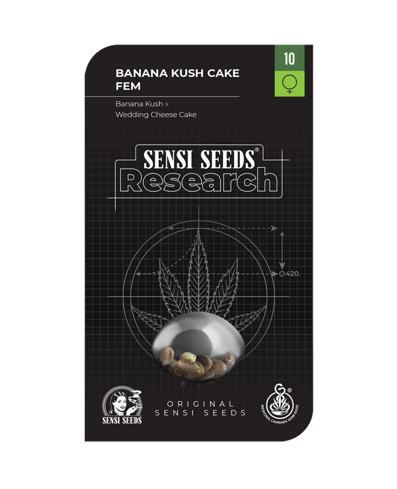  Banana Kush Cake - Sensi Seed