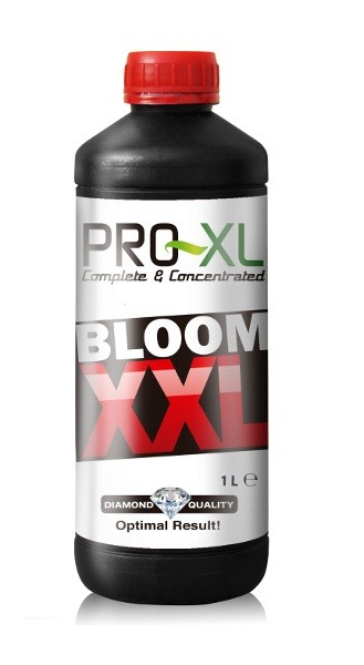 Bloom XXL - Pro-XL