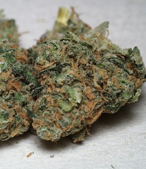 California Special – K.C. Brains