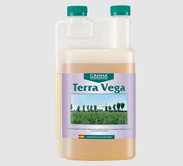 Canna Terra Vega