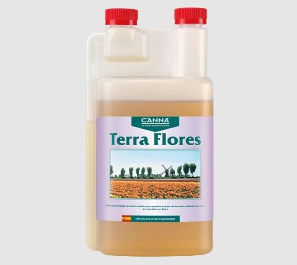 Terra flores canna