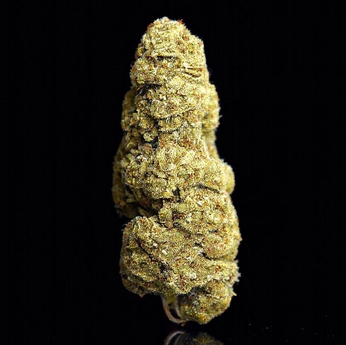 Flor de CBD - Gelato Big Buds 5gr. Selected