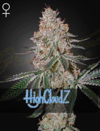 HighCloudZ - Green House Seeds