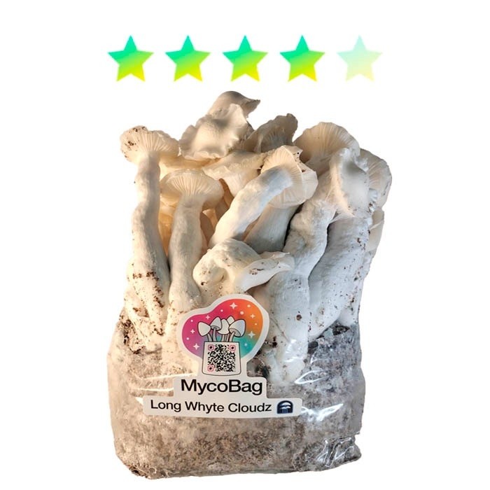 Long White Cloudz – Mini Myco Bag