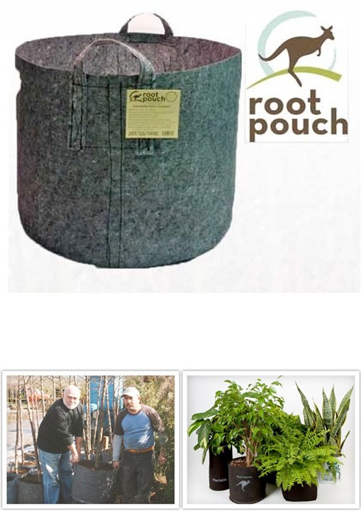 Root Pouch Asas