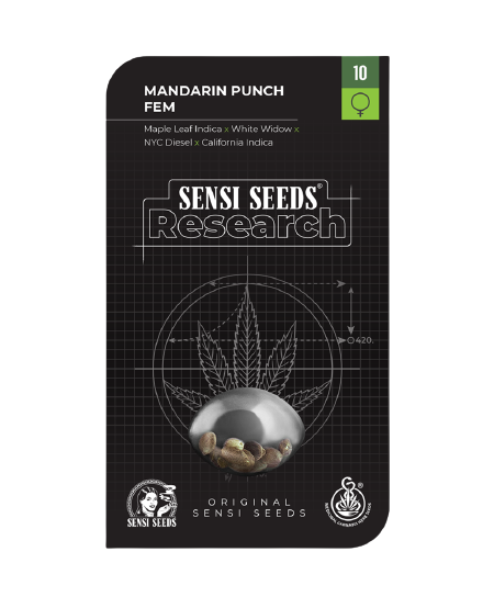 Mandarin Punch - Sensi Seed 