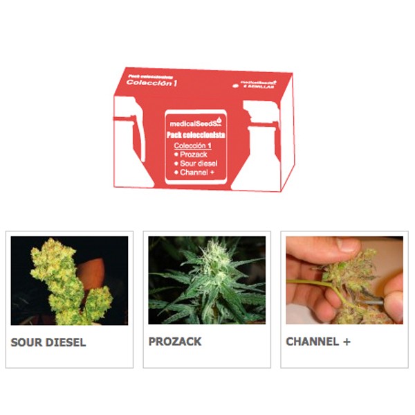 Coleccion 1 Medical Seeds