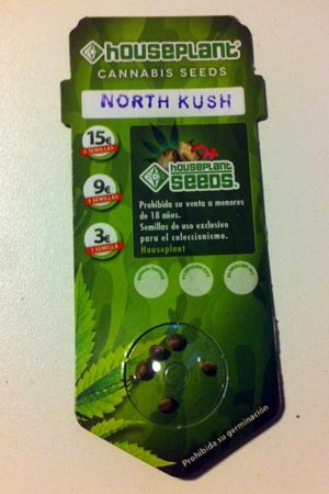 north kush 