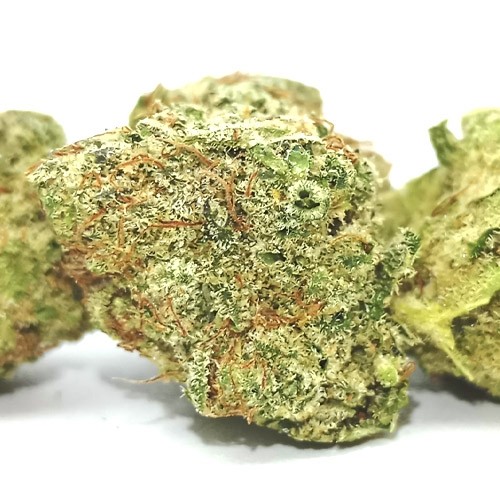 Cogollos de Flor de CBD al 14% - Strawberry Cake Indoor - 2gr