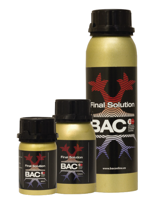 Final Solution - BAC