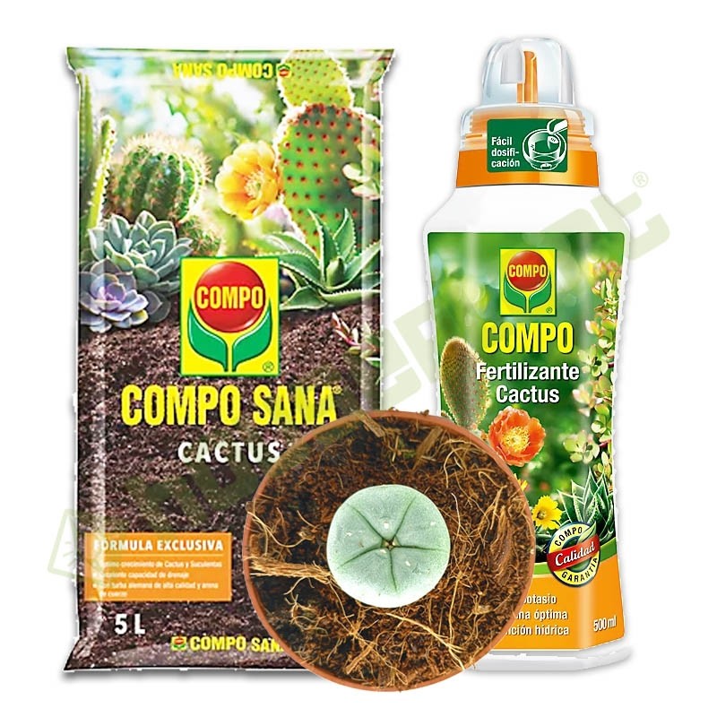 Cactus Peyote + Sustrato Compo + Fertilizante Compo