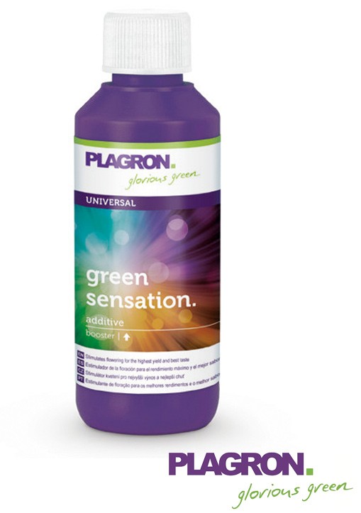 Green sensation plagron