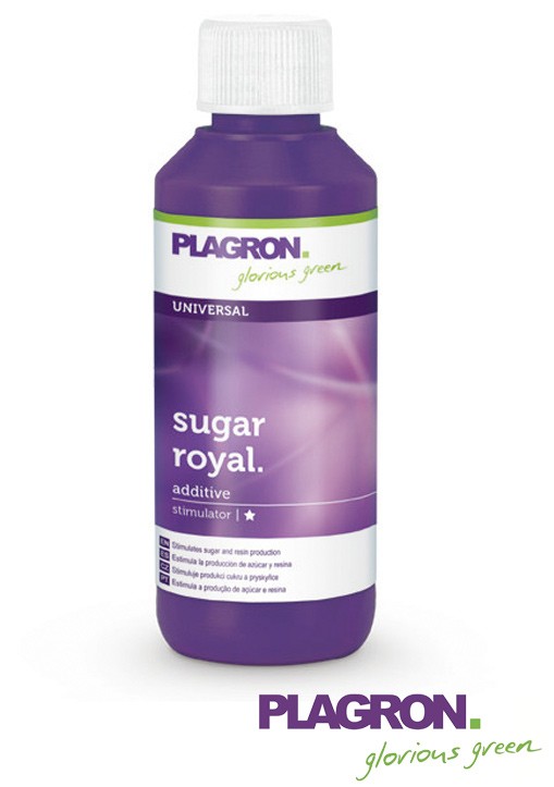 Sugar Royal Plagron