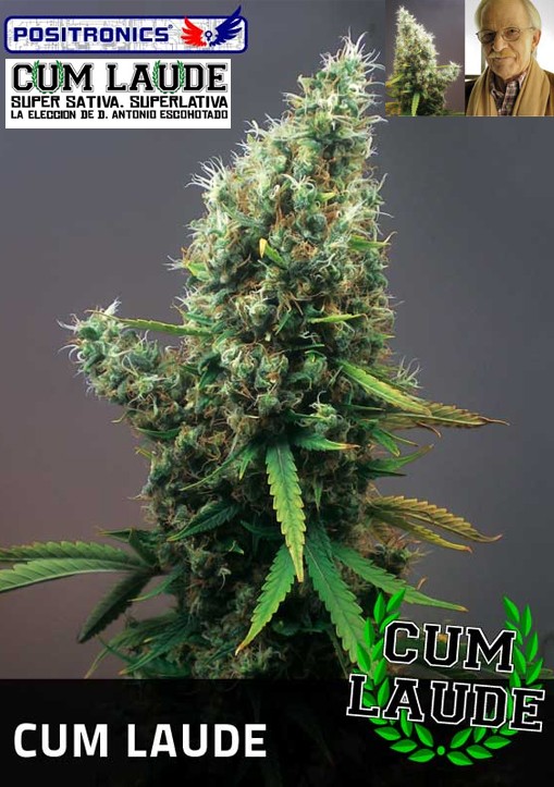 Cum Laude Femenina - Positronics