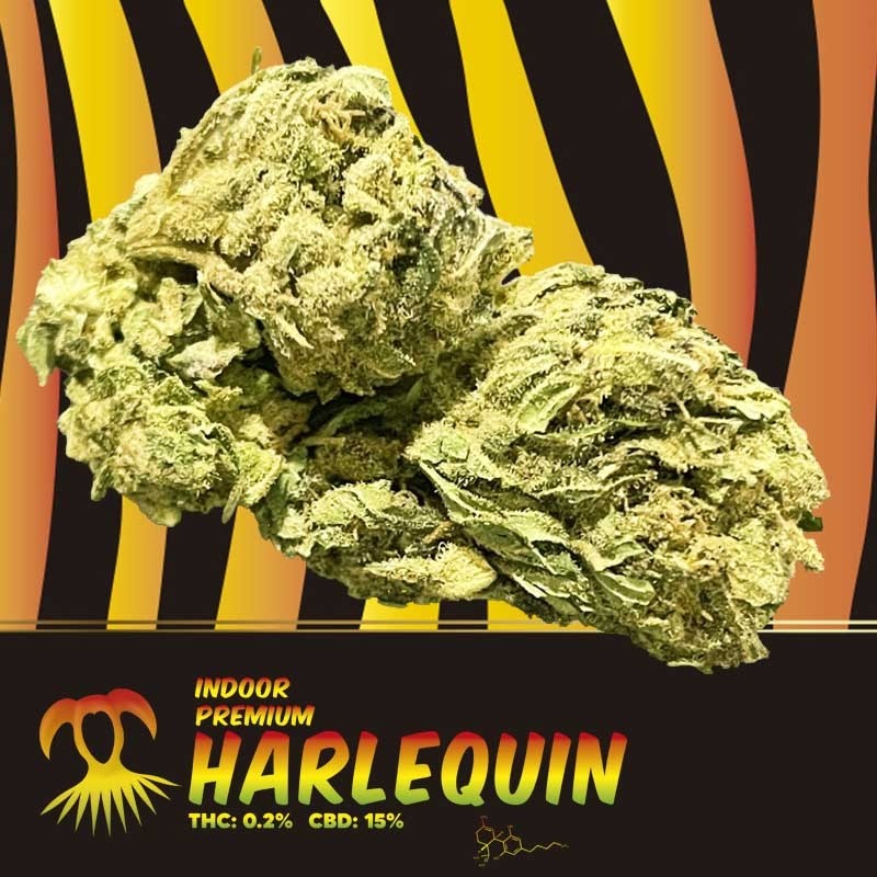 Harlequin 15% CBD - 2GR