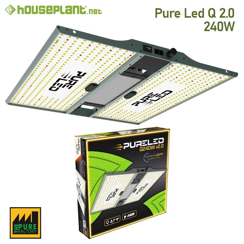 Pure Led Q 2.0 240W