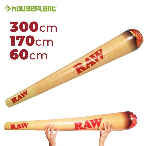 Raw Cono Inflable