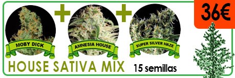 house-sativa-mix