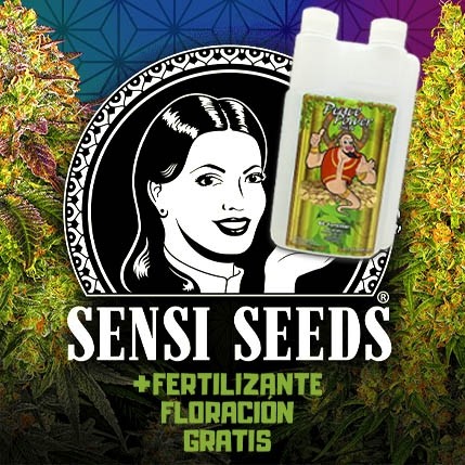 Semillas Sensi Seeds + Fertilizante de Regalo 