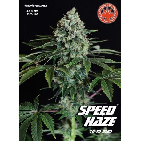 comprar semillas speed haze de pure seeds