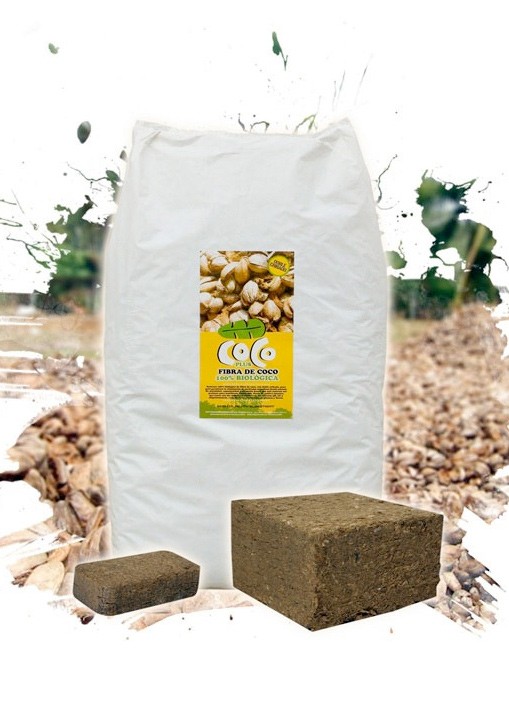 Tabla Cultivo Coco VDL