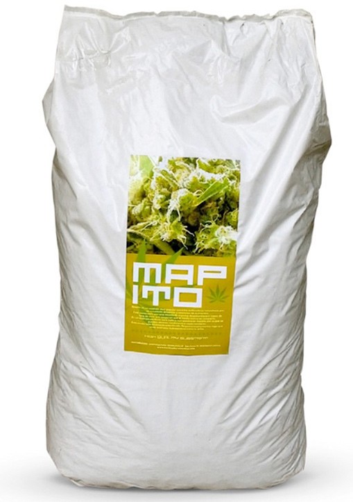 Mapito