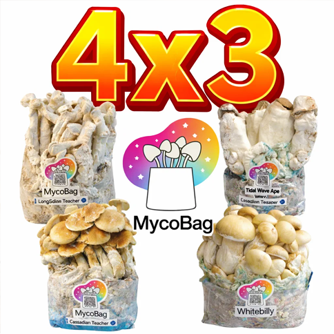3+1 Gratis - Kit de Setas MycoBag