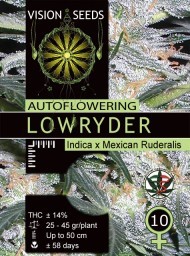 Lowryder Auto – Vision Seeds