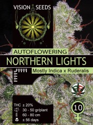 Northern Lights Auto – Vision Seeds