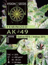 AK49 – Vision Seeds