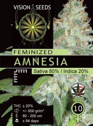 Amnesia – Vision Seeds