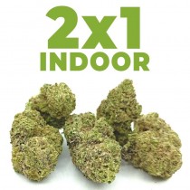 2x1 Cogollos de Flor Indoor 