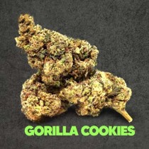 Hemp Flower Gorilla Cookies 1g – 50% Magic Sauce
