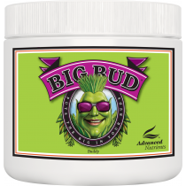 Big Bud Powder - Advanced Nutrients